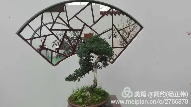 诗香教育