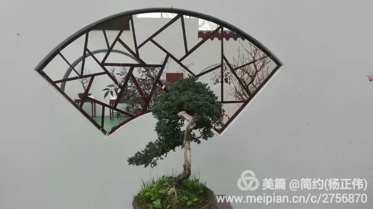 诗香教育